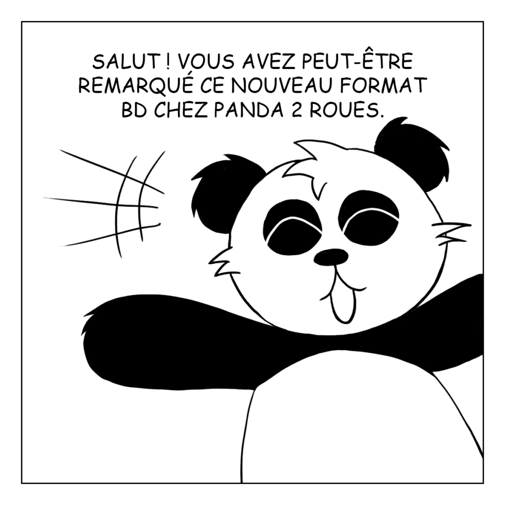 Bande Dessiné de l'équipe de Panda 2 Roues